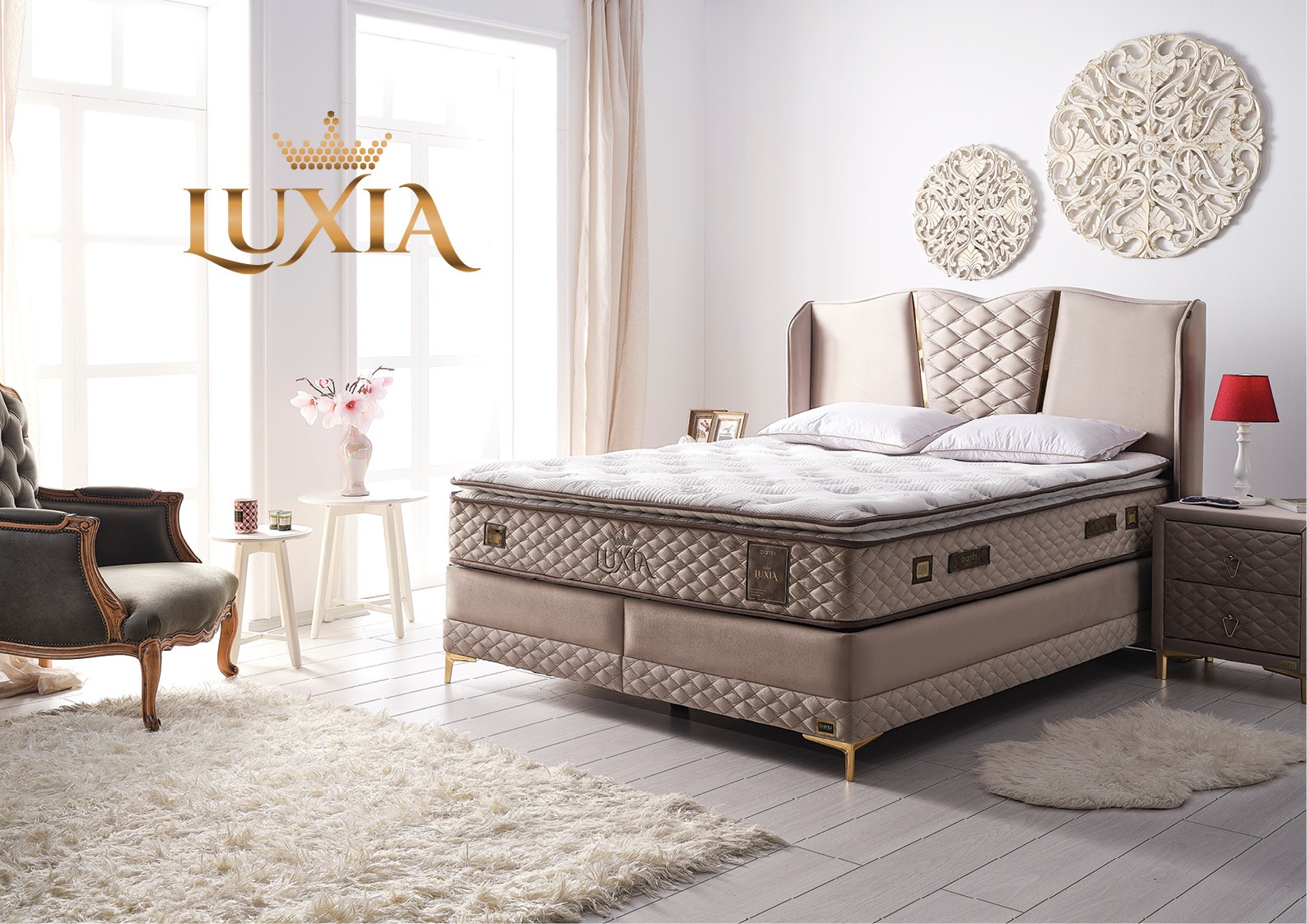 luxia-10